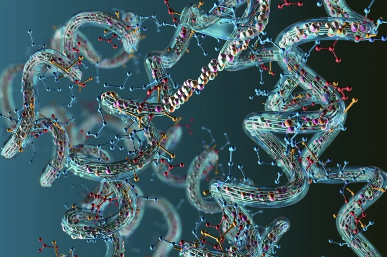 Abstract 3D illustration of interconnected amino acid molecules forming a flowing molecular structure, representing biochemical processes involved in brain and body health.