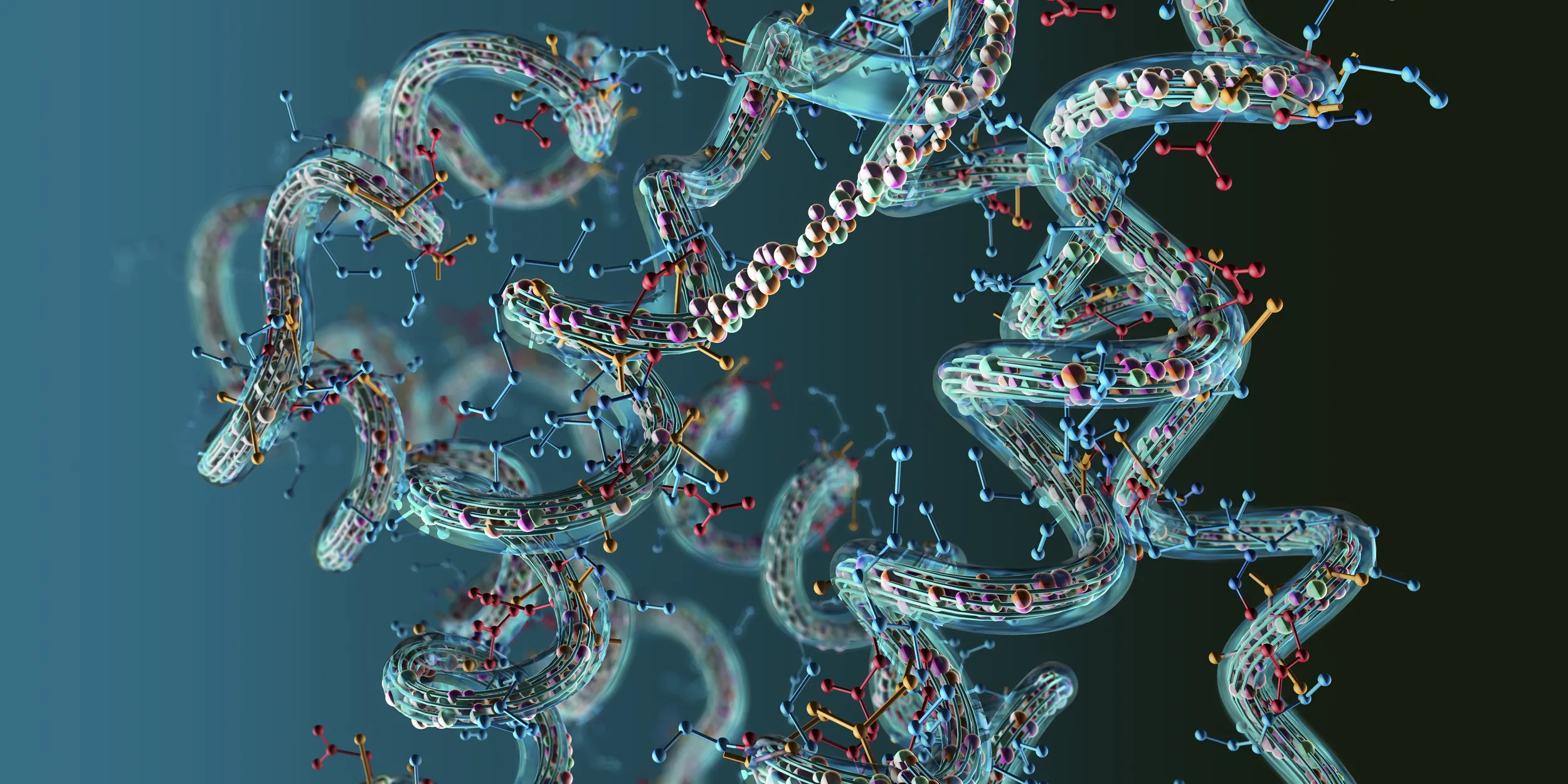 Abstract 3D illustration of interconnected amino acid molecules forming a flowing molecular structure, representing biochemical processes involved in brain and body health.