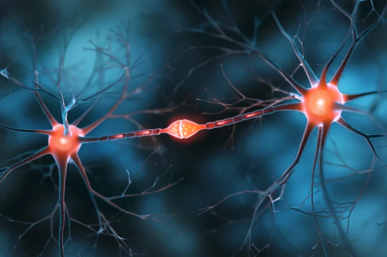 Illustration of neurons transmitting electrical signals across a synapse.