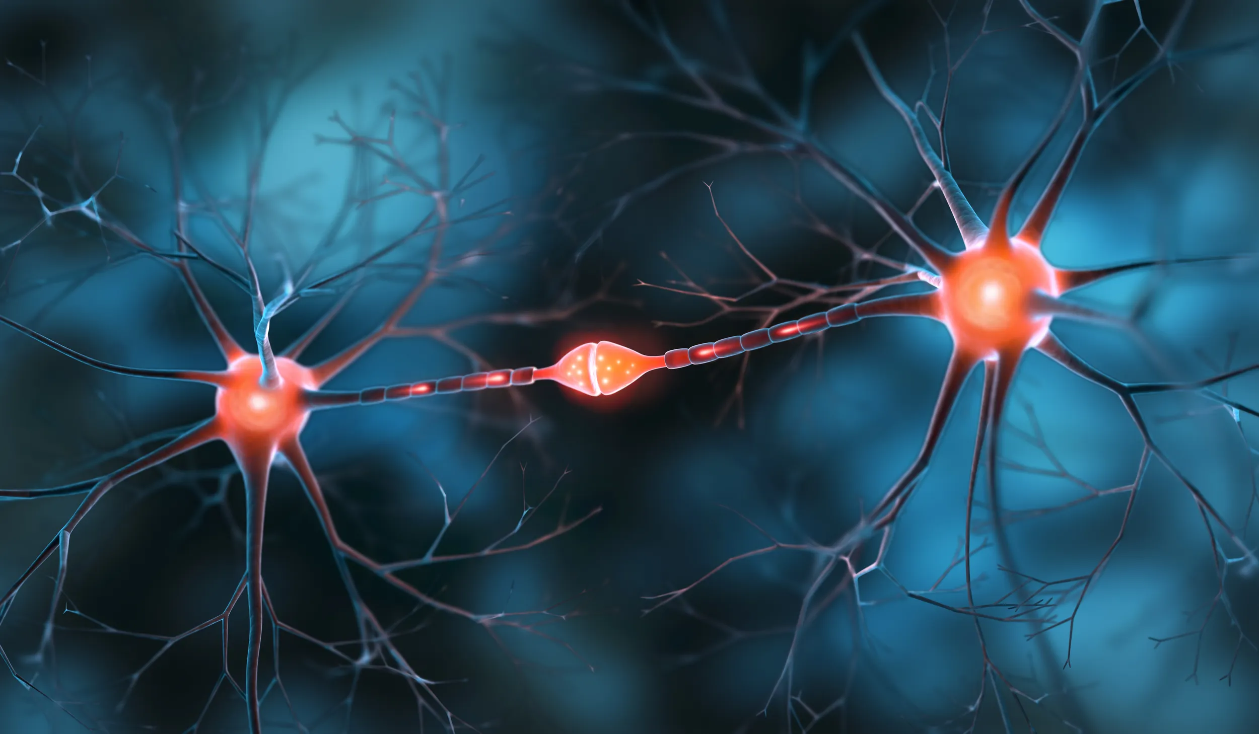 Illustration of neurons transmitting electrical signals across a synapse.