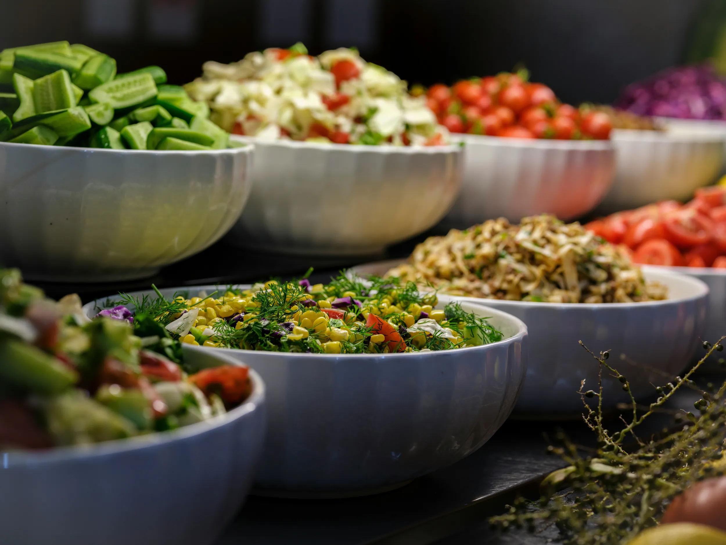 Assortment of colorful, nutritious salads and fresh vegetables in white bowls, featuring cucumbers, tomatoes, corn, leafy greens, and herbs.